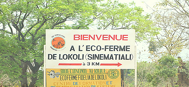 eco-ferme lokoli