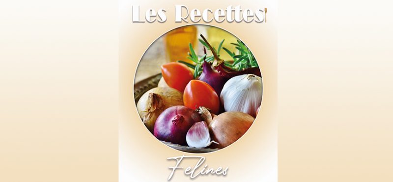 mis en avant recette feline